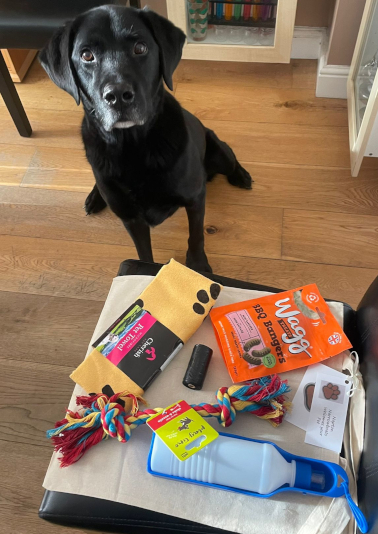 Complimentary bag of dog goodies